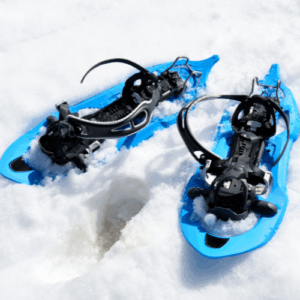 Snowshoes